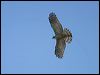 pacific_baza_16014