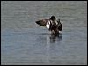 goldeneye_143628