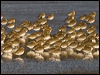 eurasiangoldenplover84193