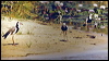 long_toed_lapwing_s0010