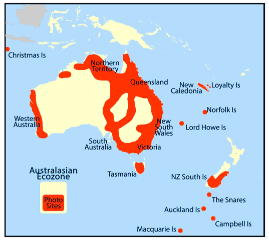 Map of Australasian ecozone showing photographic sites