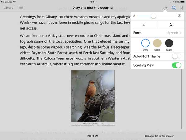 Screen shot of iBook formatting options
