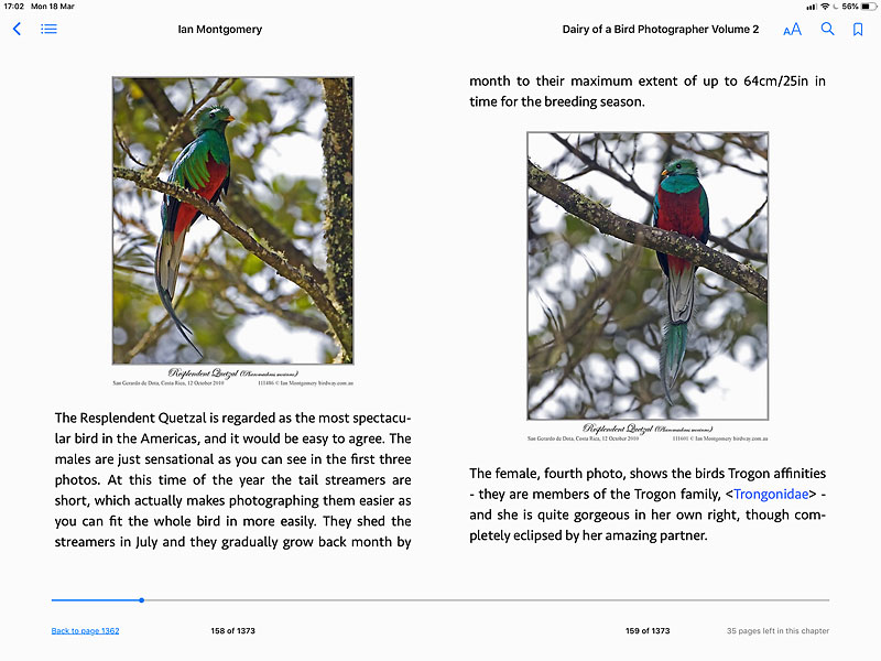 Screen shot from Diary of a Bird Photographer Volume 2: subject Resplendent Quetzal