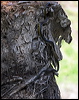 common_tree_snake_80164