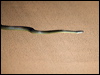 water_python_91477