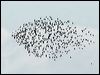 knot_great_58889