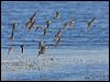 west_least_sandp_109232