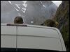 kea_121963