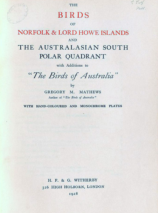 Photo of Island Thrush mathews_1928