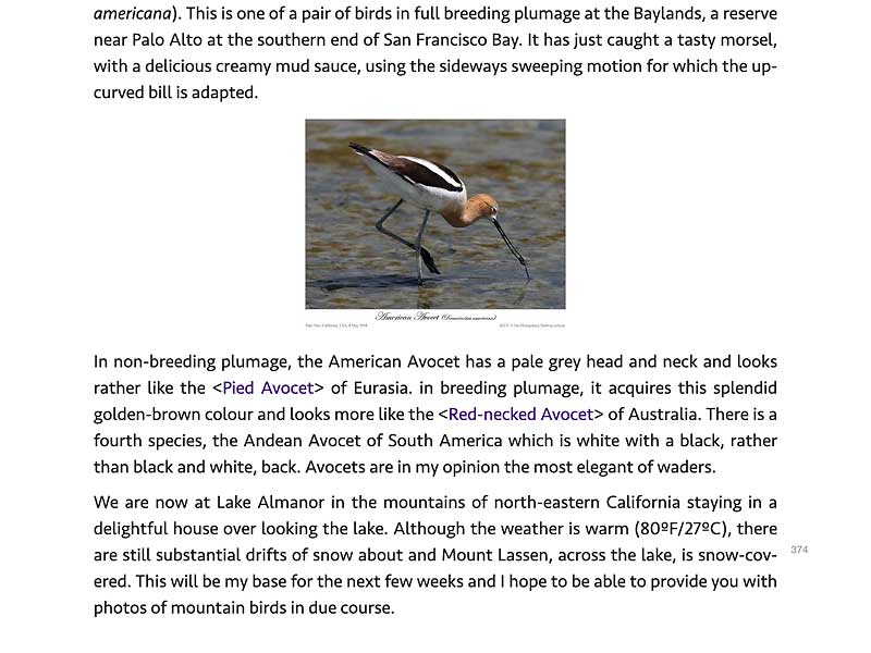 Screen shot from Diary of a Bird Photographer Volume 1 Screen shot from Diary of a Bird Photographer Volume 1