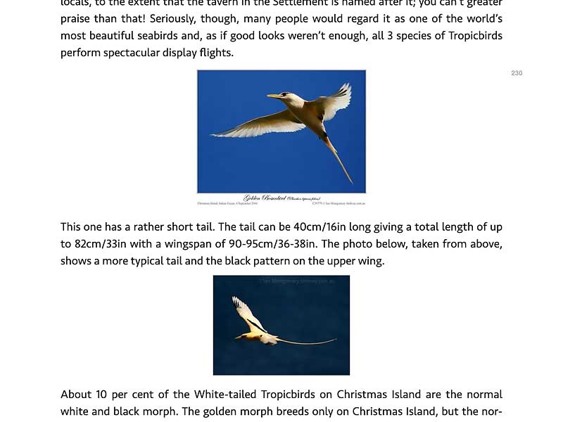 Screen shot from Diary of a Bird Photographer Volume 1 Screen shot from Diary of a Bird Photographer Volume 1